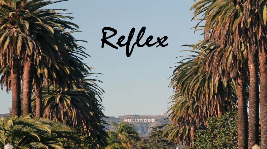 You are currently viewing Reflex